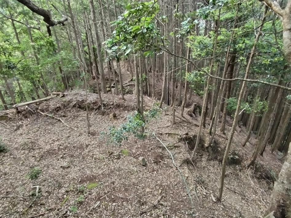 鷹巣山城