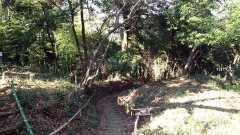 寺尾城