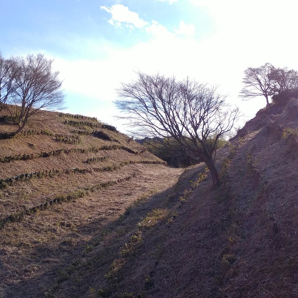 倉ヶ崎城