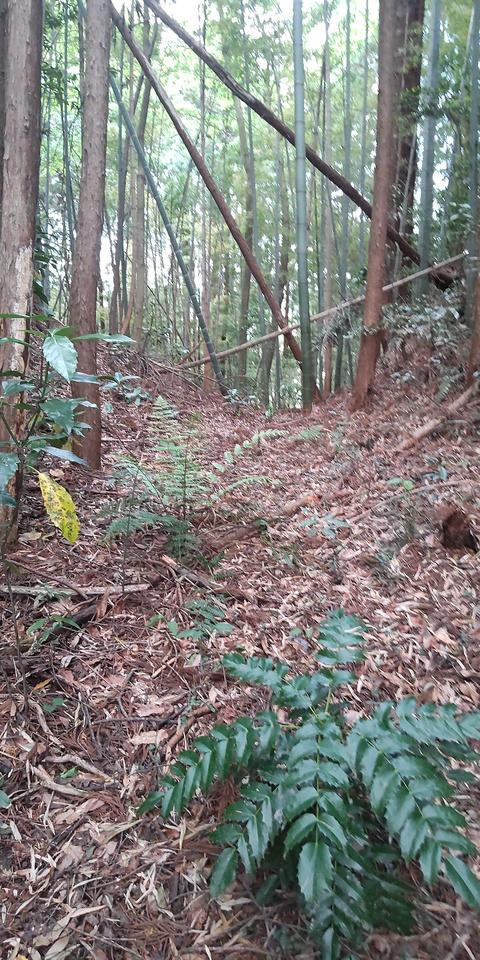 中里城