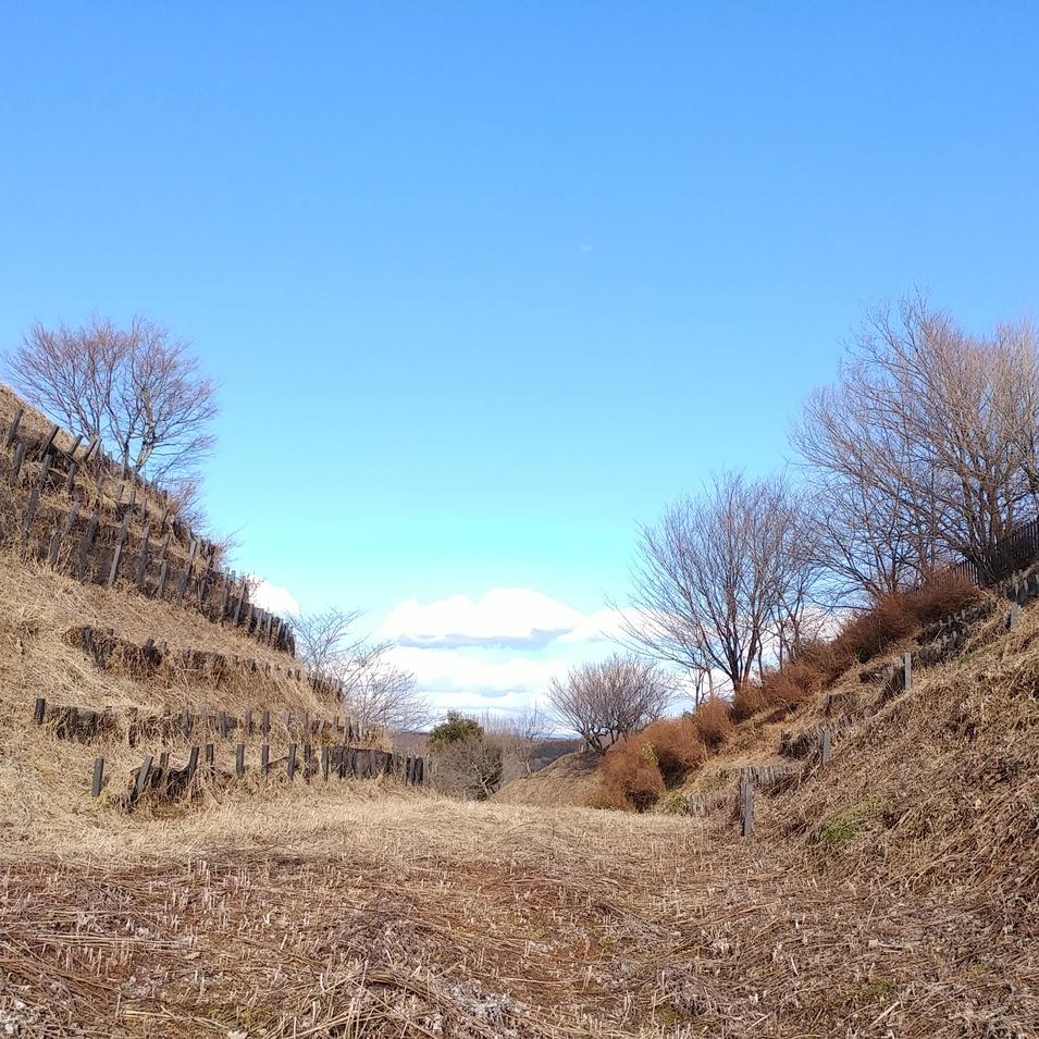 倉ヶ崎城
