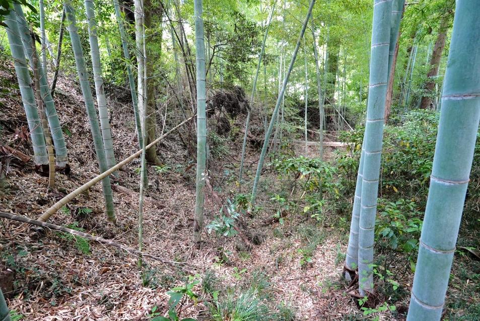木原城