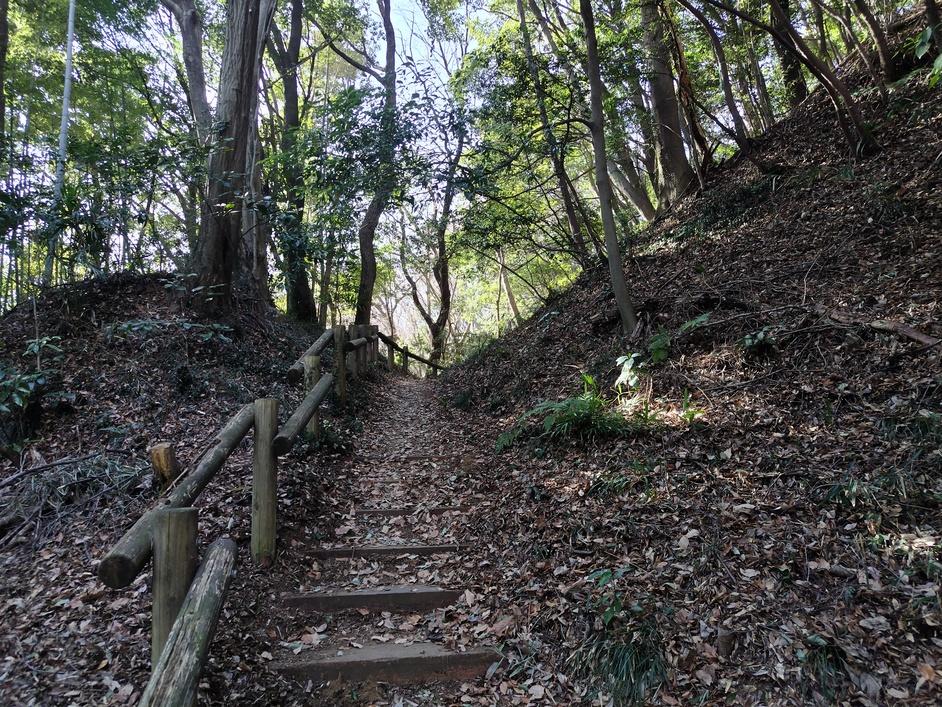小沢城