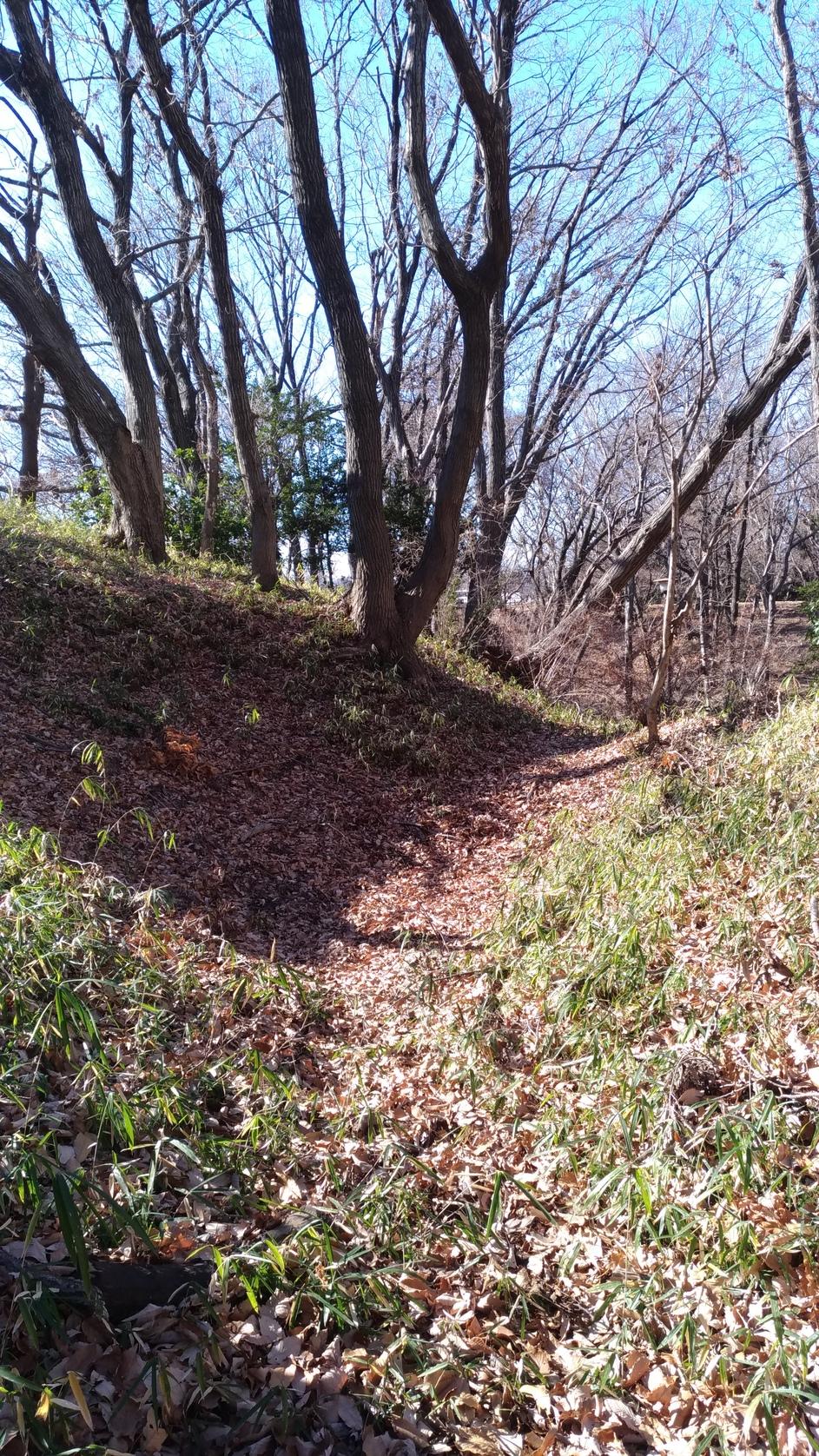 片倉城