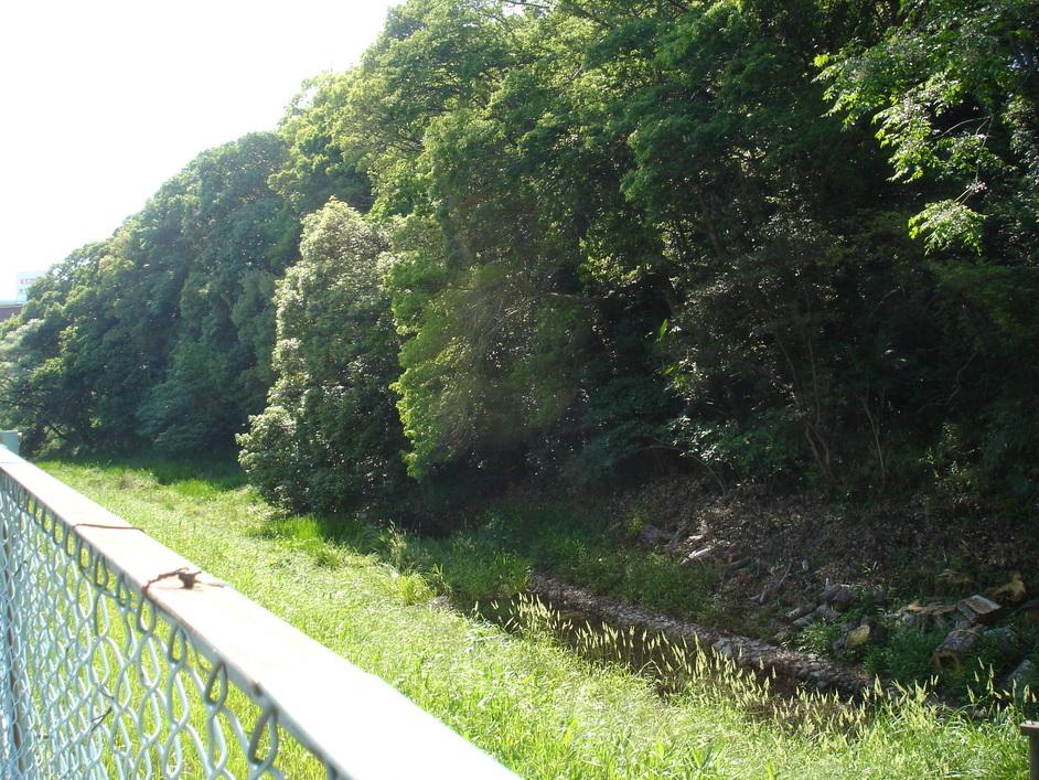 高屋城