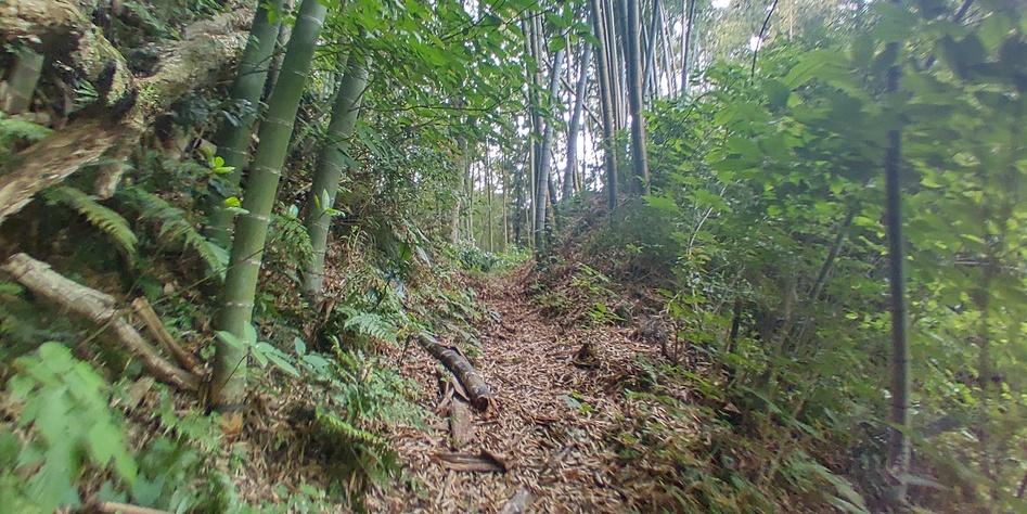 笹子城