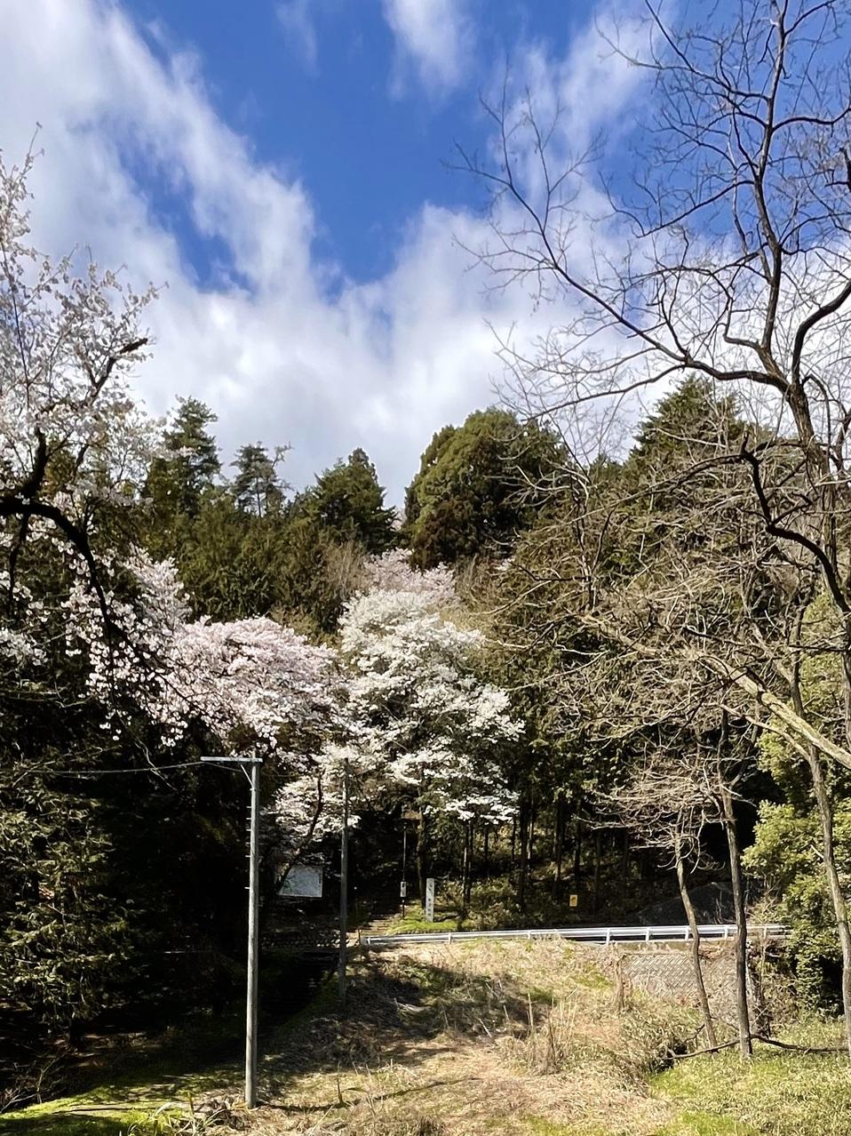 新府城