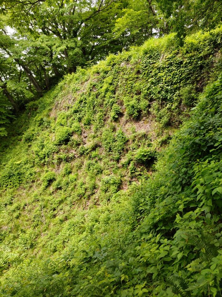 津川城