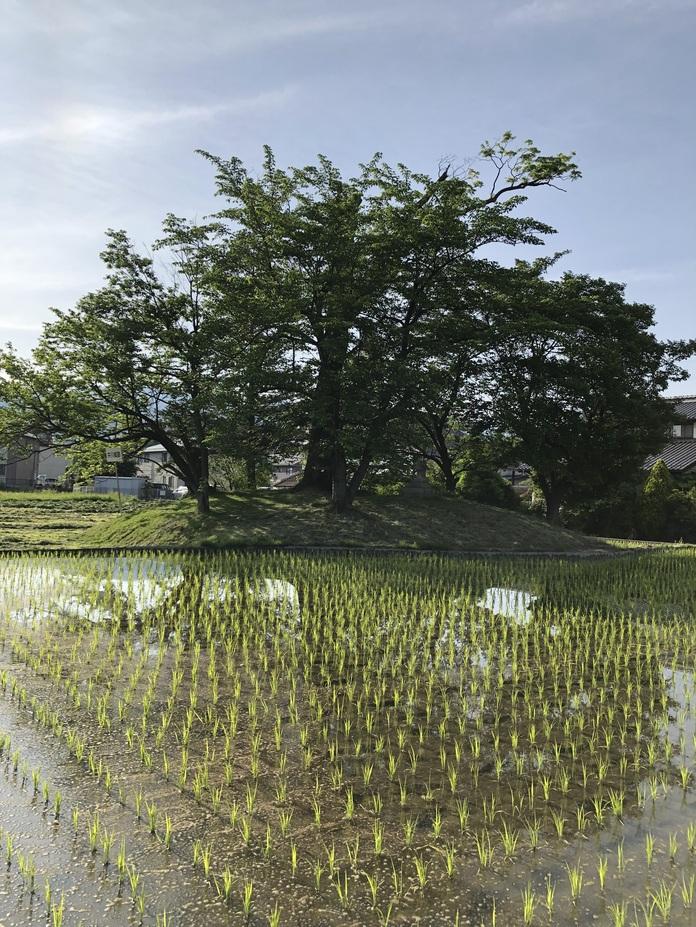 井川城