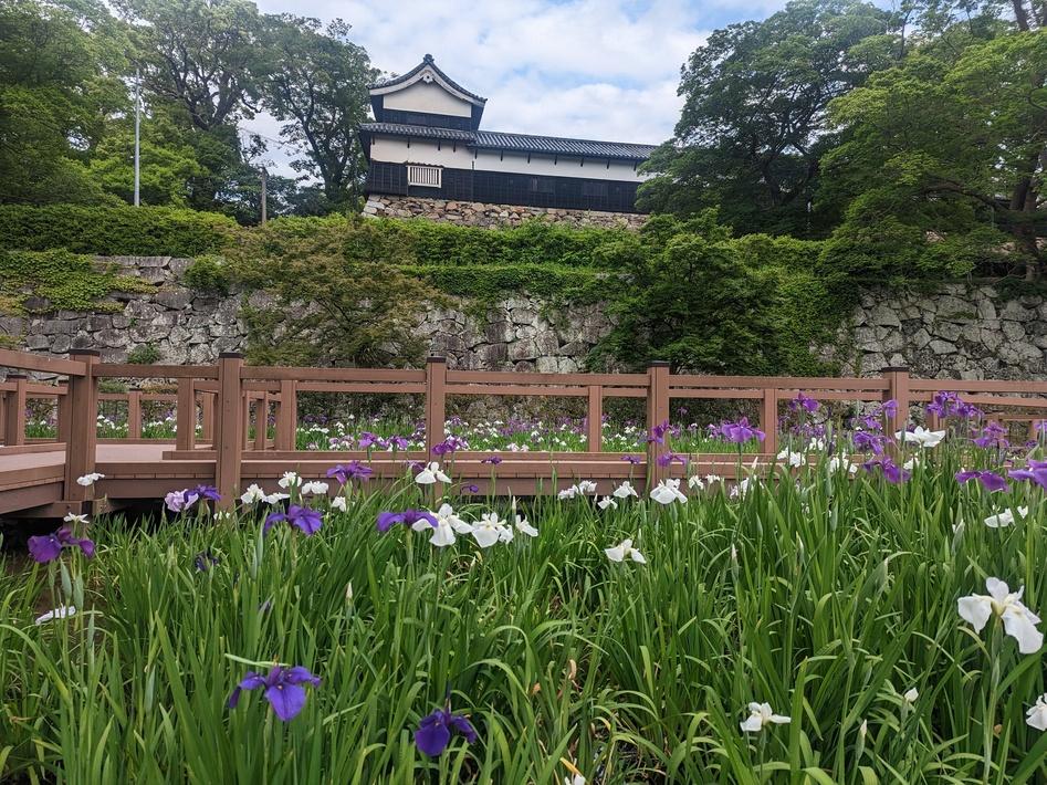 福岡城