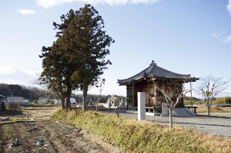 豊地城