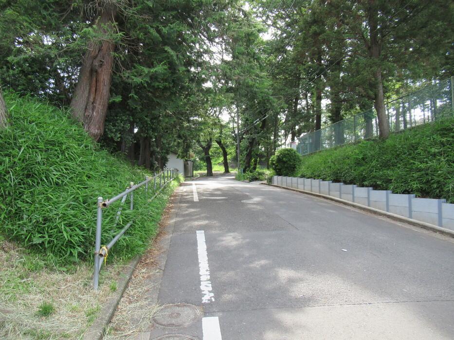 岡津城