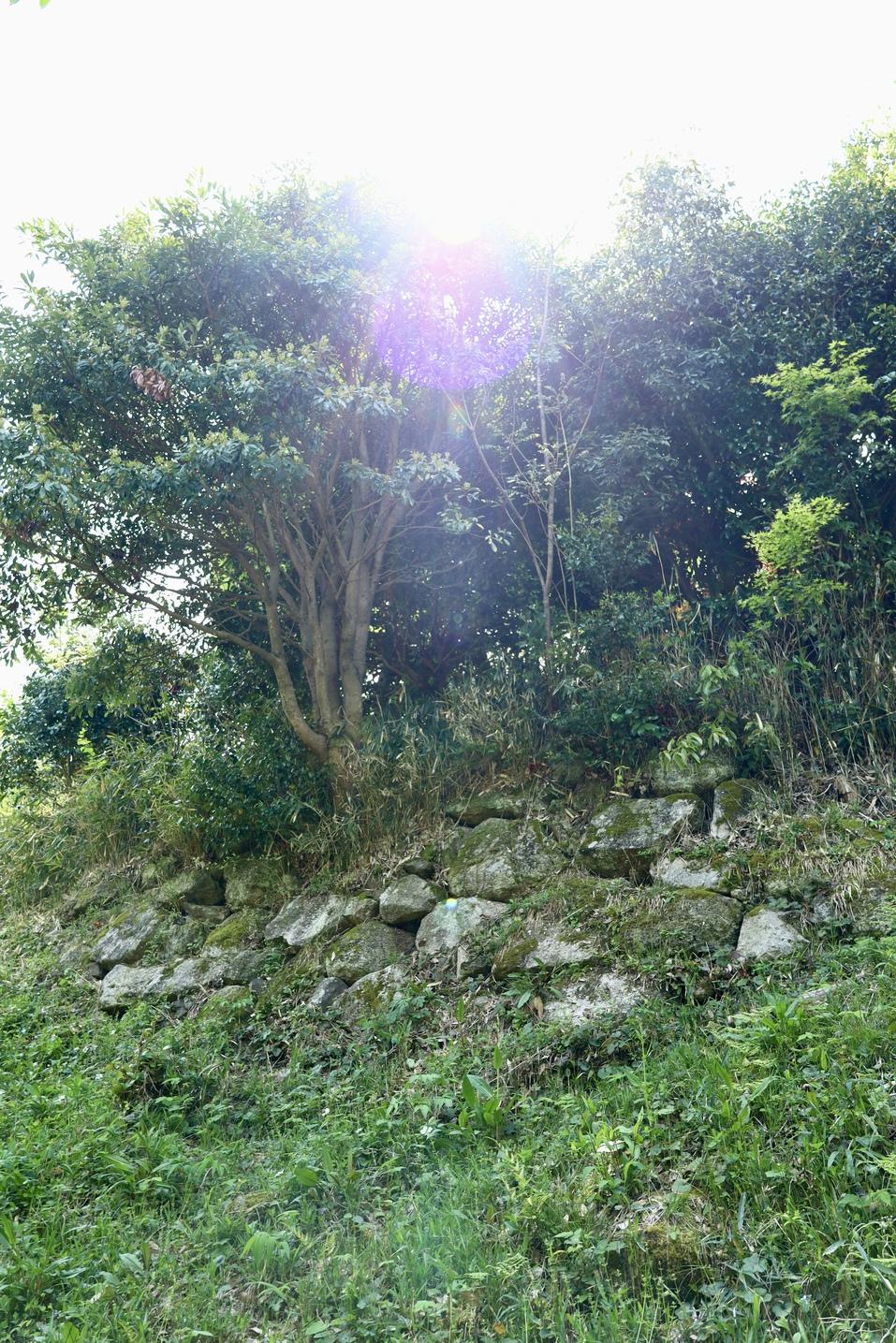 水口岡山城
