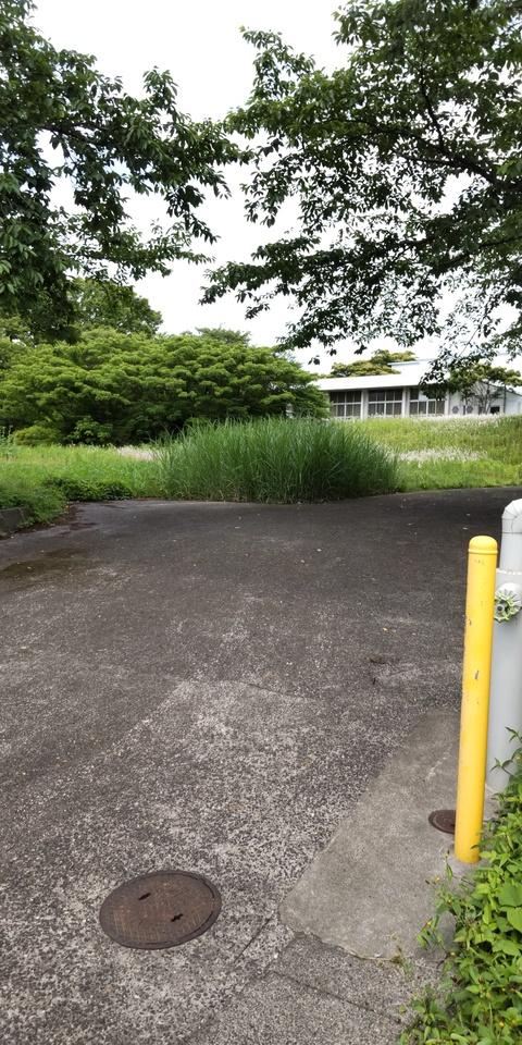 成宗城