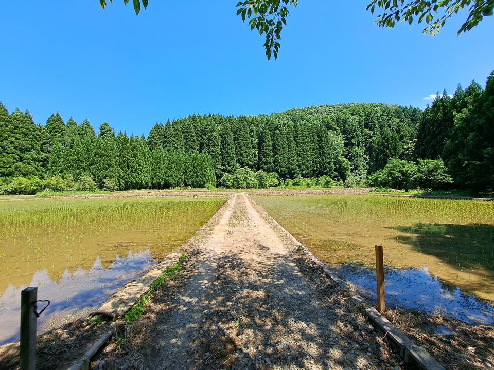 庄城