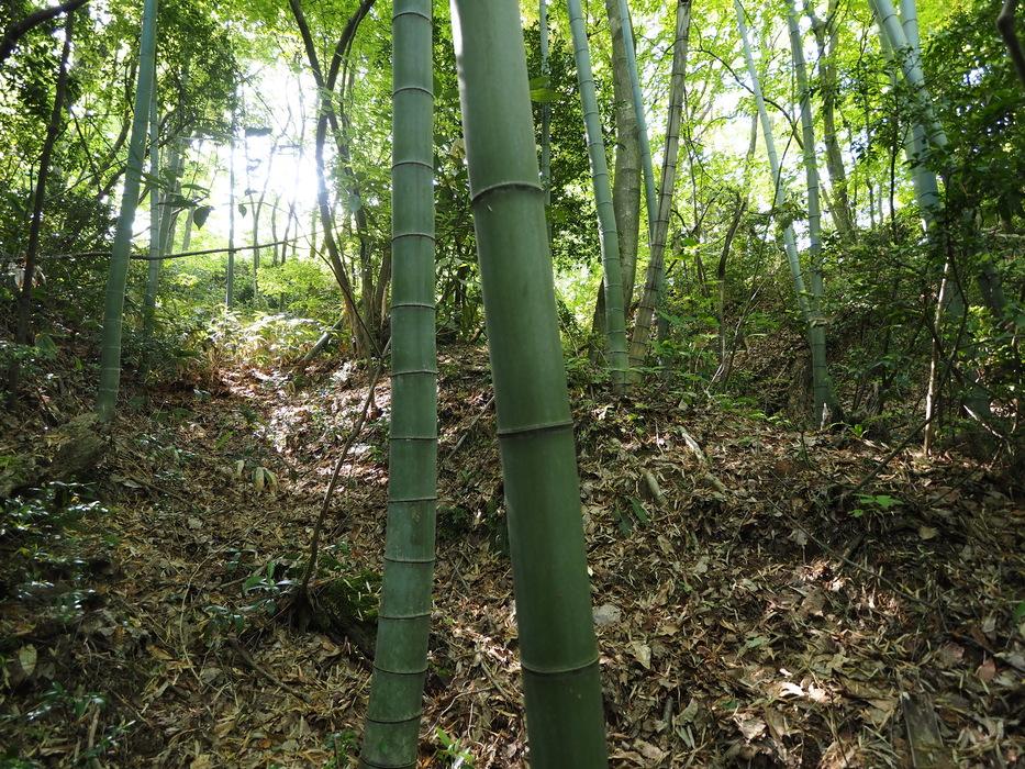 堅田城