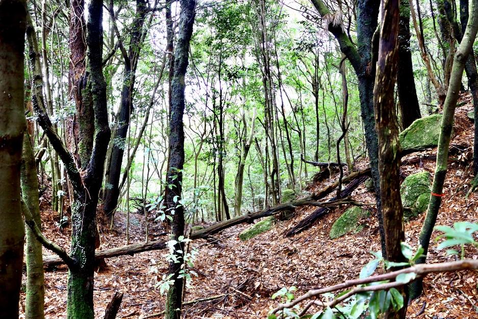 一ノ岳城