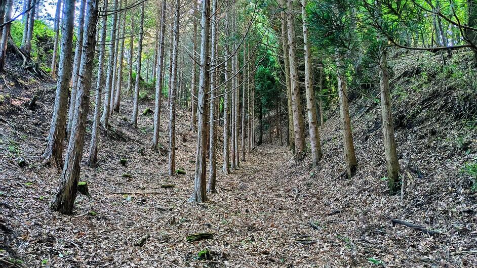 山野城