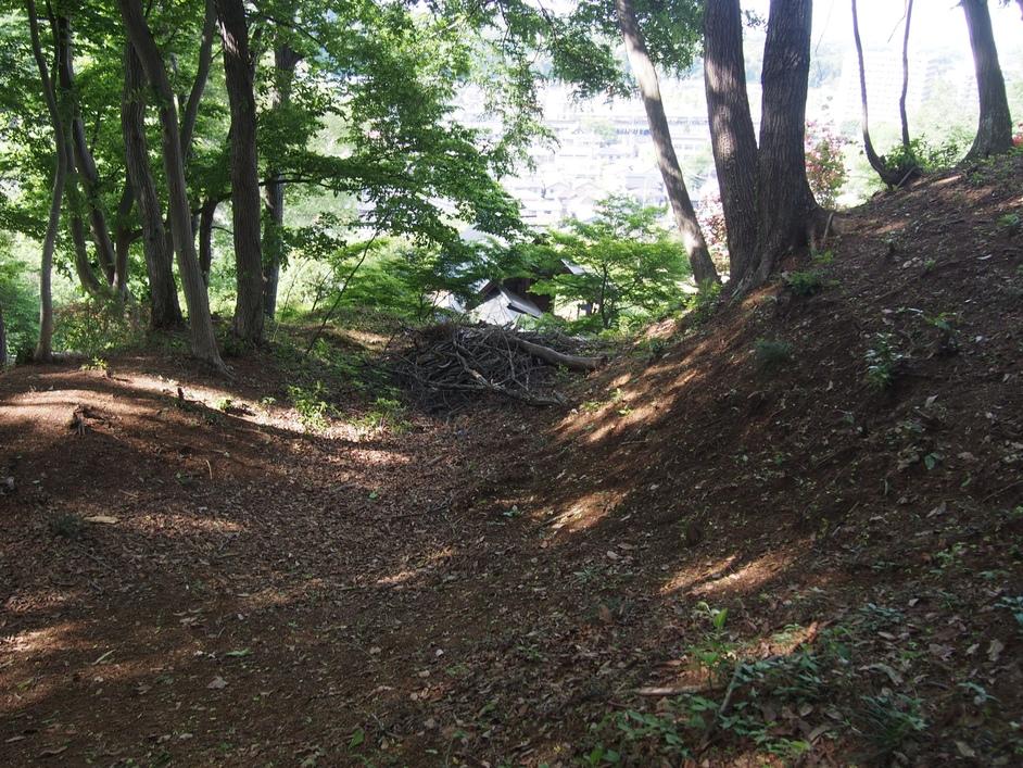 初沢城