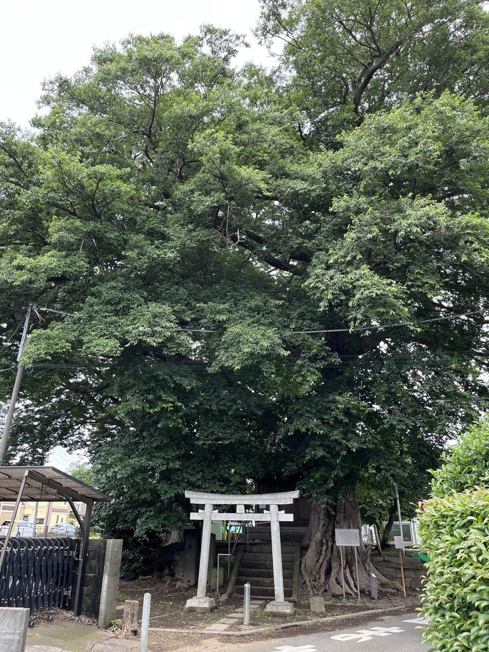 喜多見城