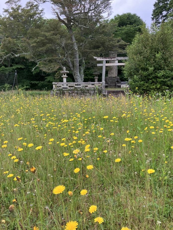 地黄城