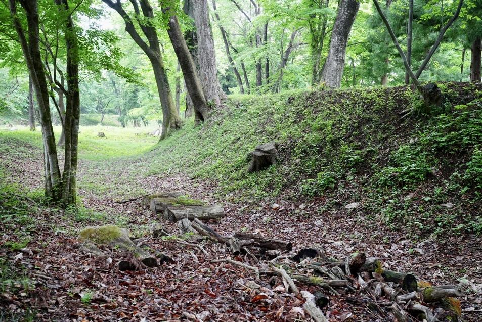 前川本城