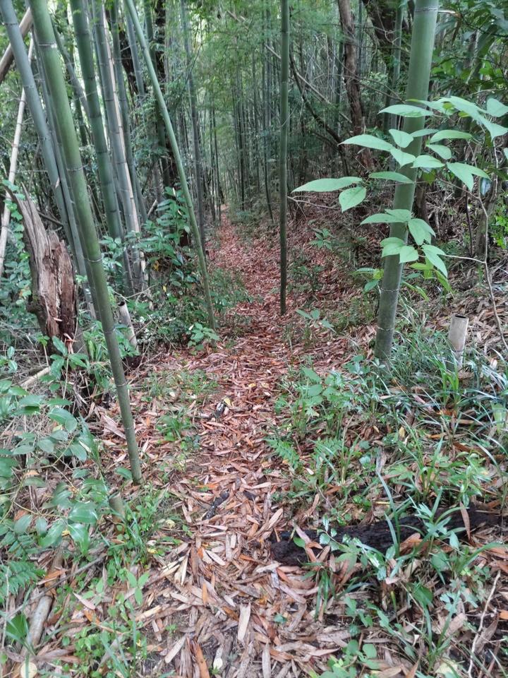 白地城