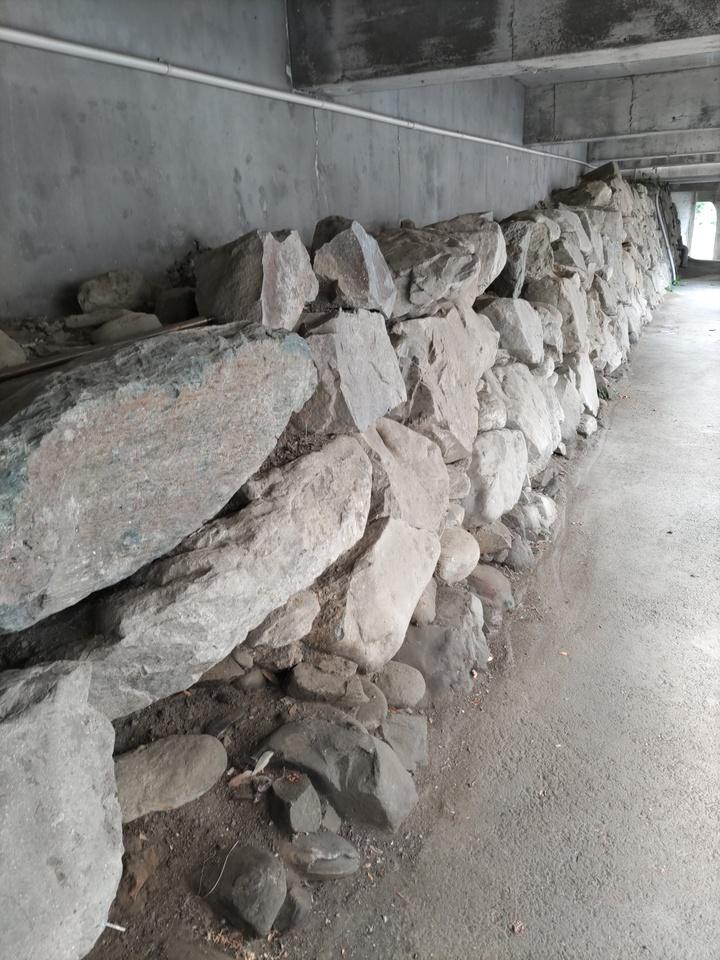 大西城