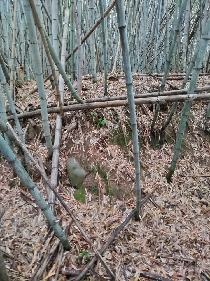 脇城