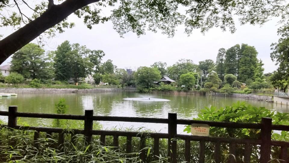 碑文谷殿山