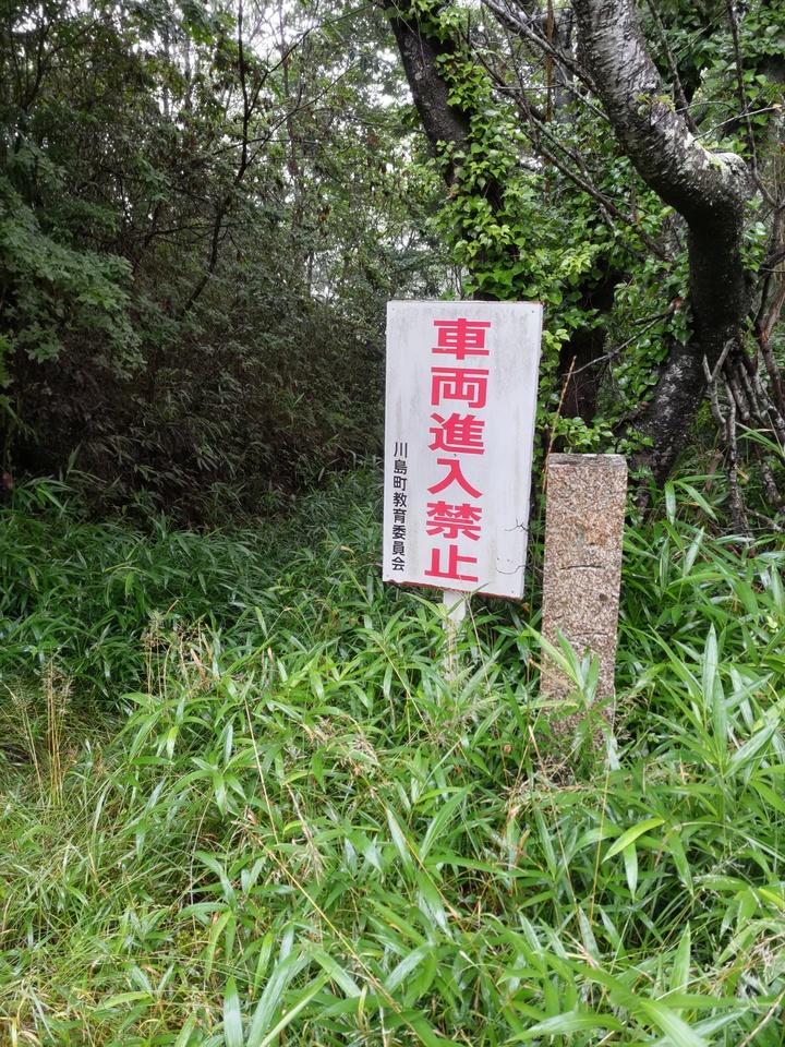 上桜城