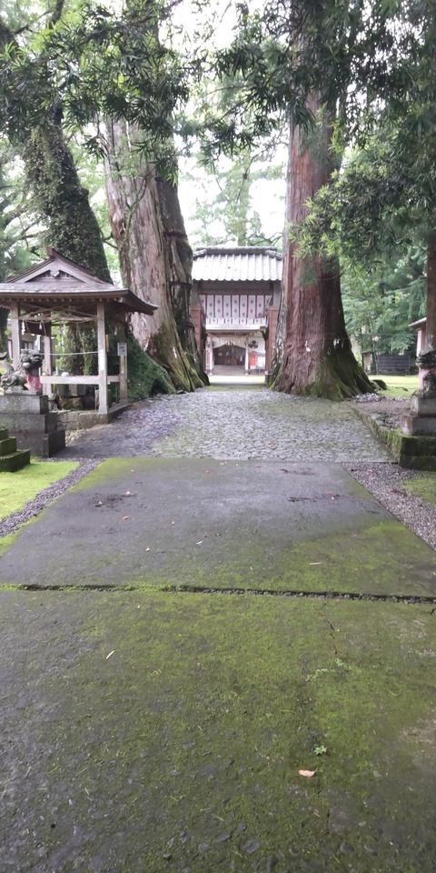 仁宇城
