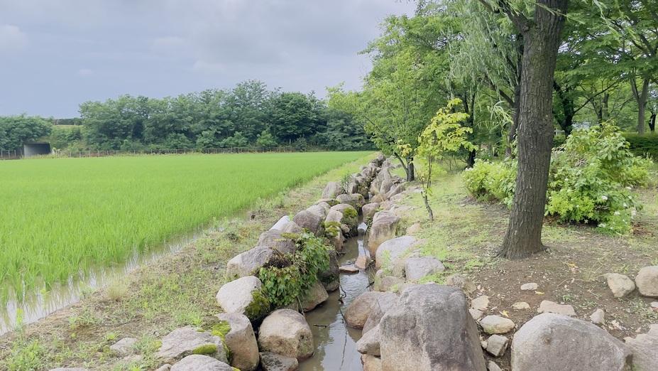 木場城