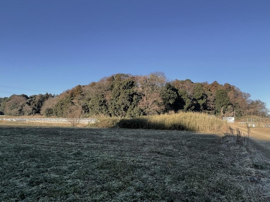 箕輪城