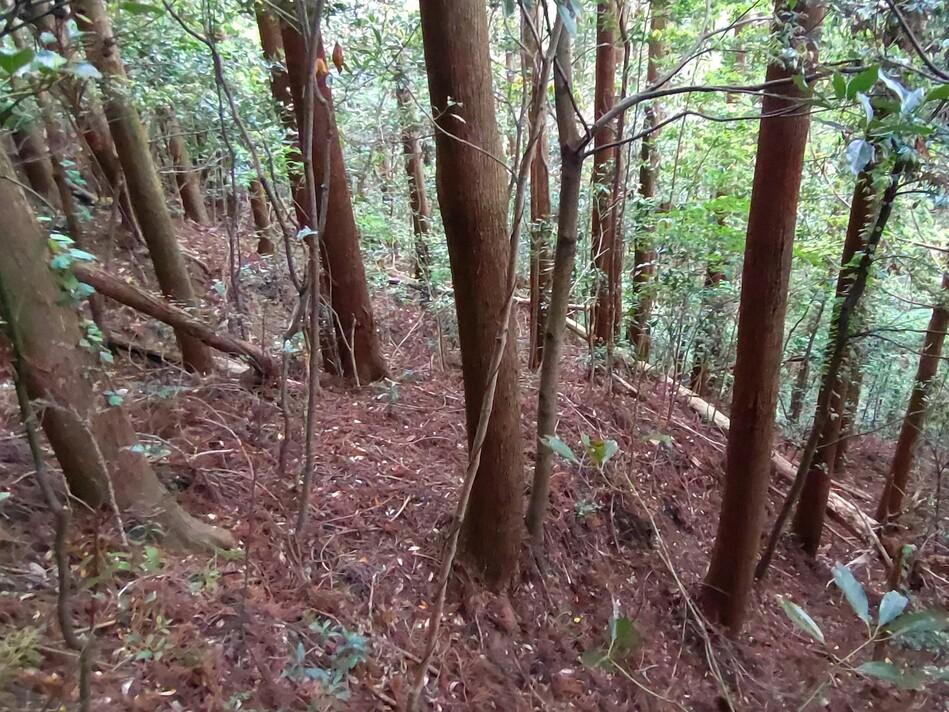栂牟礼城