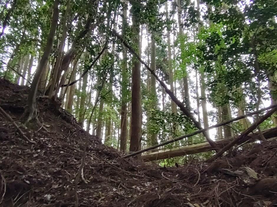 栂牟礼城
