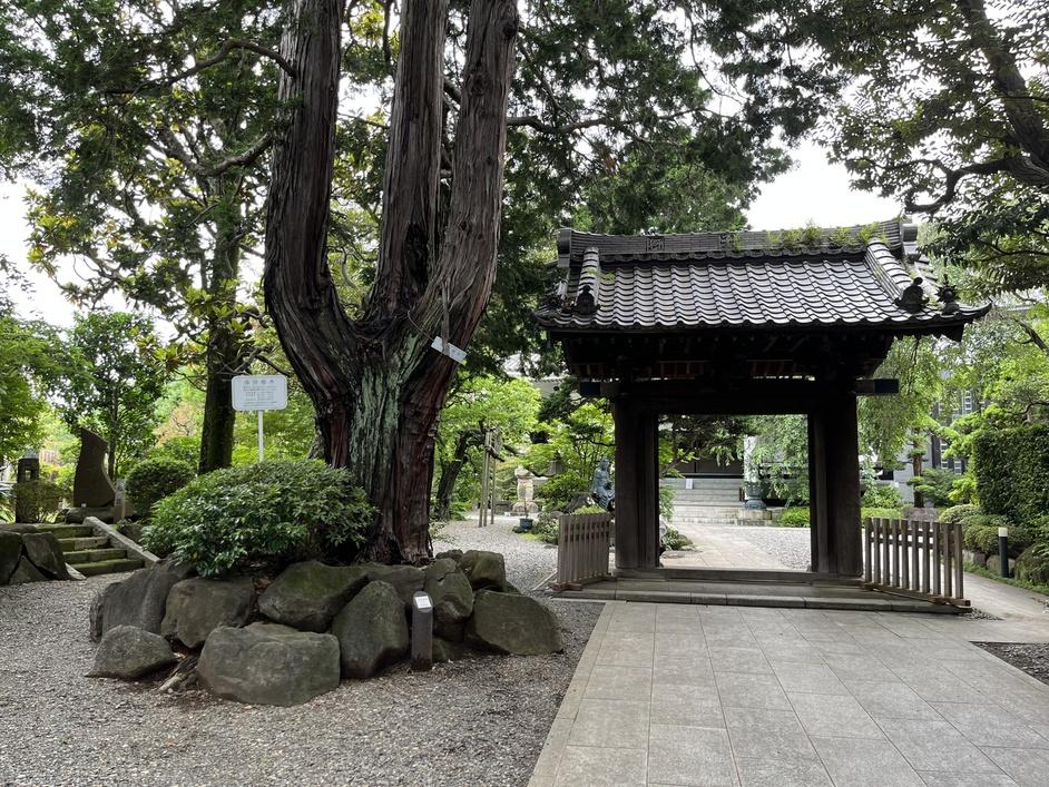 瀬田城