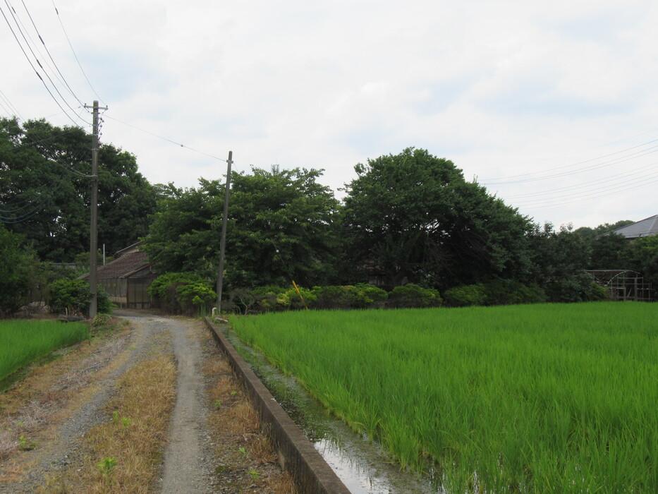 中釘陣屋