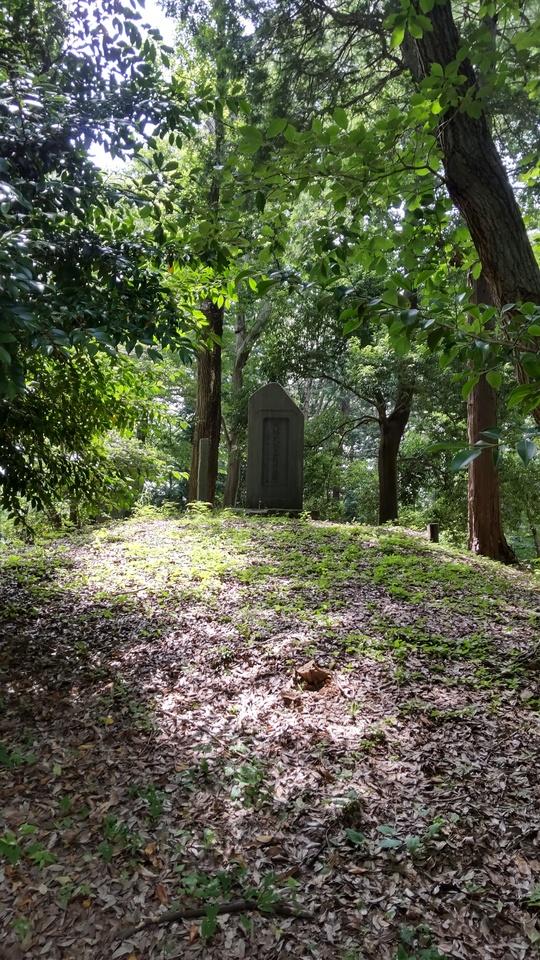 早川城