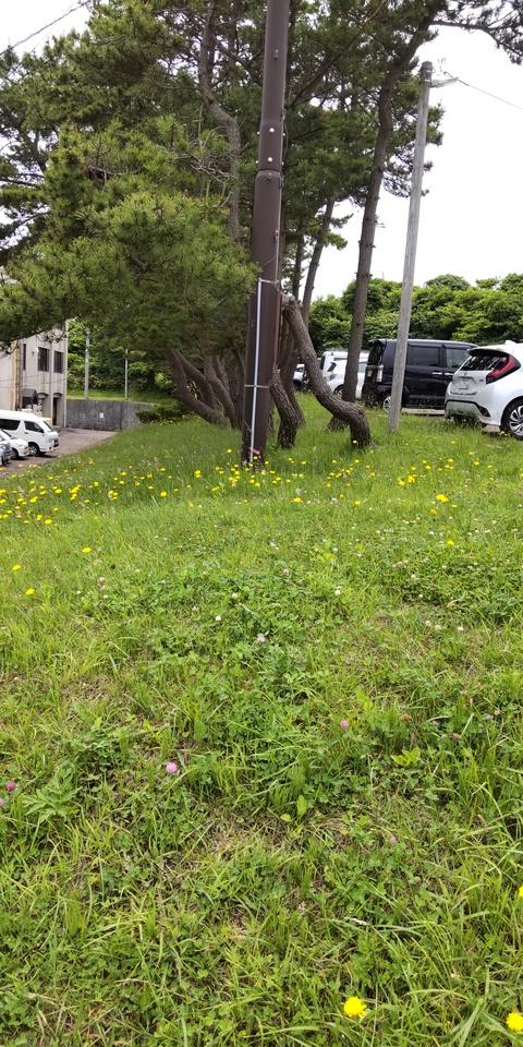 戸井館