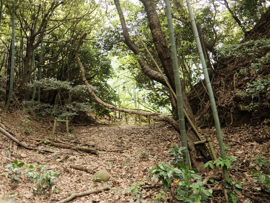 河口城