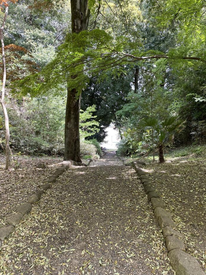 佐野城