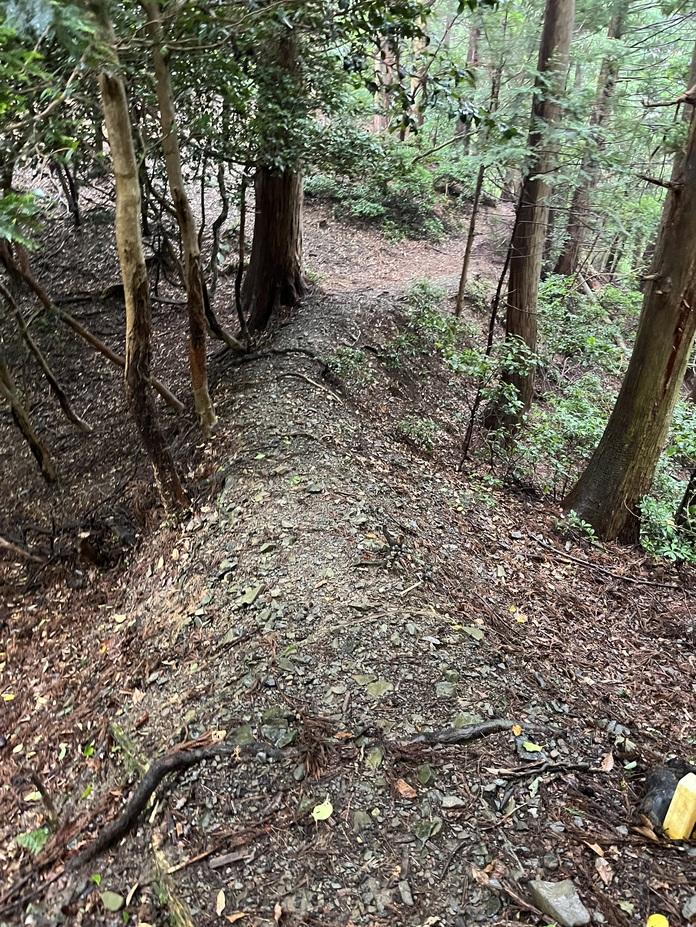 小島城