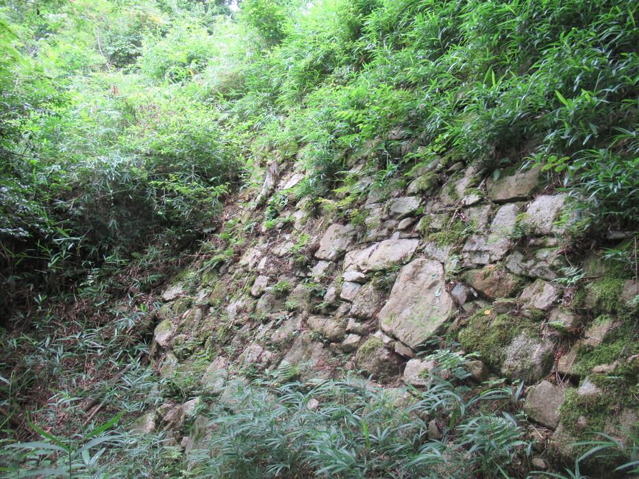 長光寺城