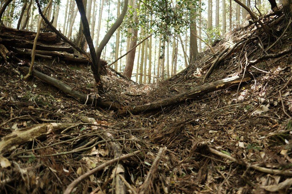 山家城