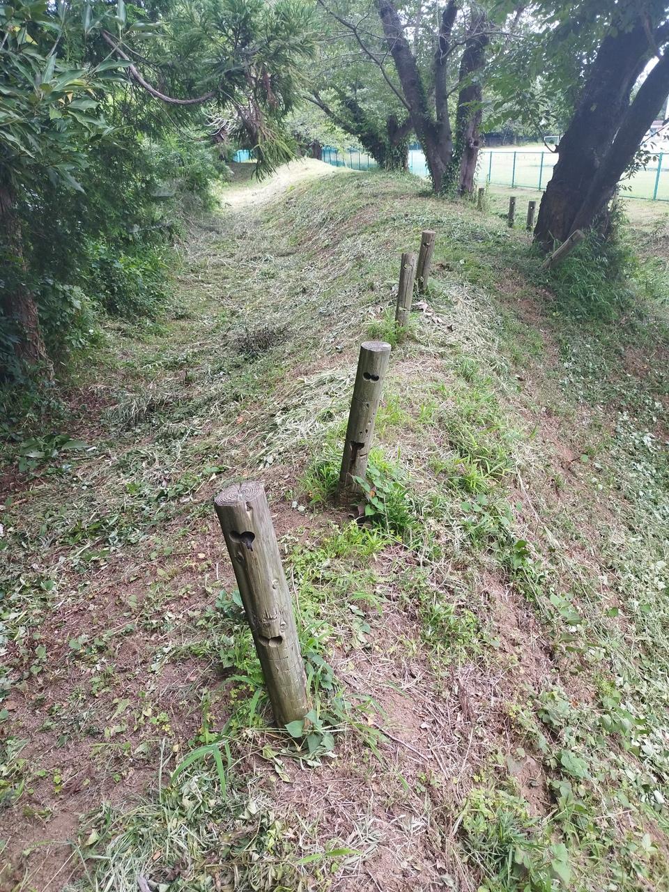 龍ケ崎城