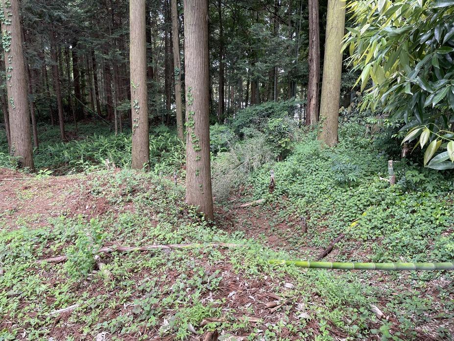 塙城