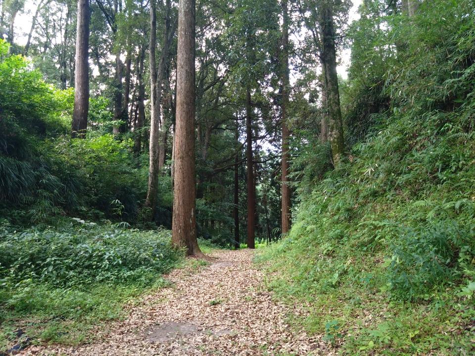 穆佐城