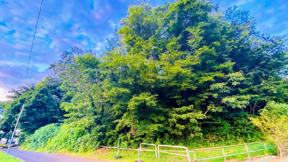 代山城
