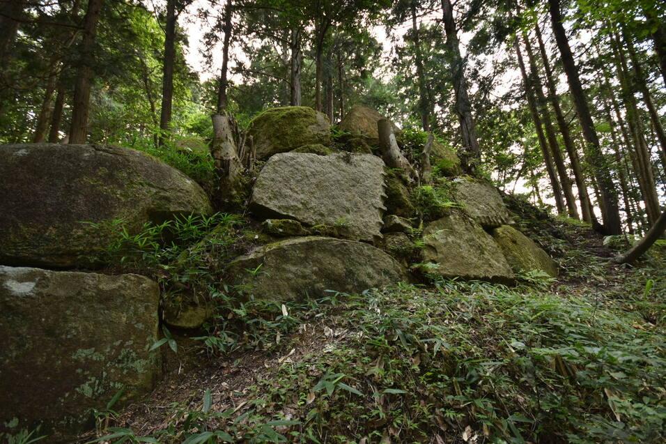 三雲城